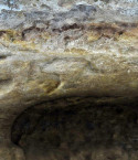 Abri de Cap-Blanc